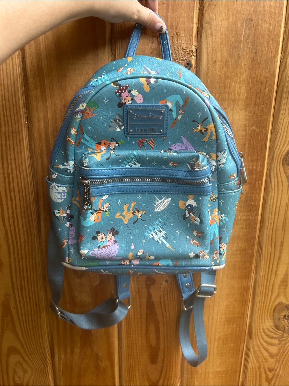 Minnie and Mickey loungefly